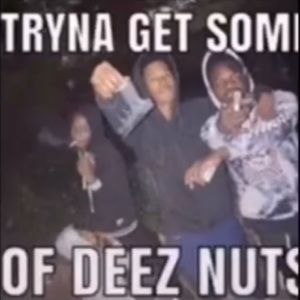 Meet your Posher, Larry